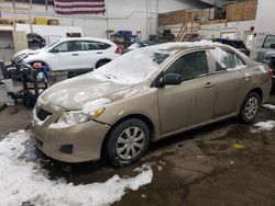 Toyota Corolla salvage cars for sale: 2009 Toyota Corolla Base