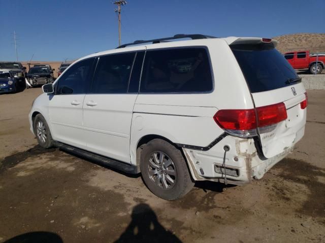 2009 Honda Odyssey EXL