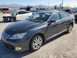 2011 Lexus ES 350 en venta en Sun Valley, CA