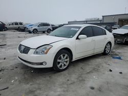 Nissan salvage cars for sale: 2005 Nissan Maxima SE