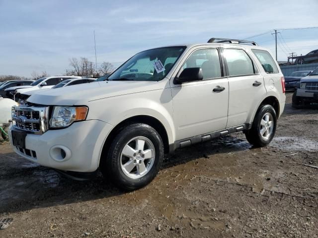 2011 Ford Escape XLS