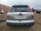 2007 Honda CR-V EXL