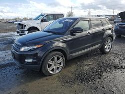 Salvage cars for sale at Eugene, OR auction: 2013 Land Rover Range Rover Evoque Pure Premium