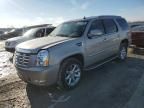 2008 Cadillac Escalade Luxury