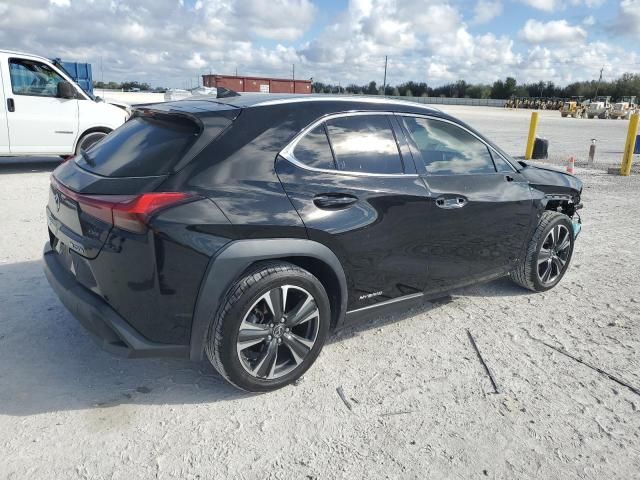 2020 Lexus UX 250H