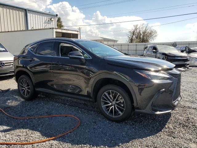 2023 Lexus NX 250