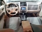 2009 Ford Escape XLS