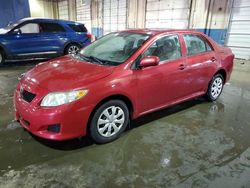 Salvage cars for sale at Woodhaven, MI auction: 2010 Toyota Corolla Base