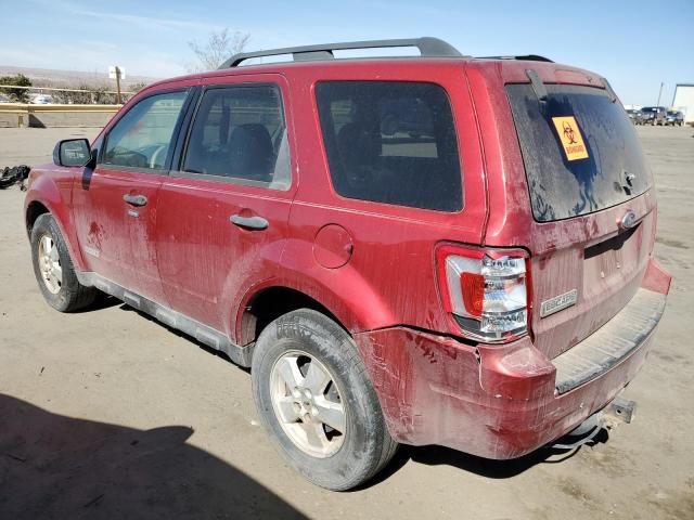 2008 Ford Escape XLT