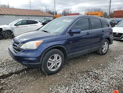 Salvage cars for sale at Columbus, OH auction: 2011 Honda CR-V EXL