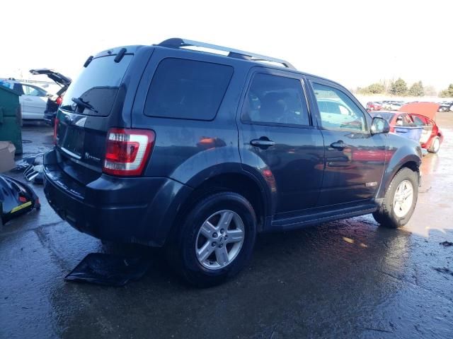 2008 Ford Escape HEV