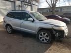 2007 Hyundai Santa FE SE