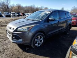 Salvage cars for sale at East Granby, CT auction: 2014 Ford Escape SE