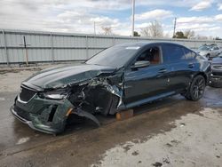 Salvage cars for sale at Littleton, CO auction: 2020 Cadillac CT5 Sport