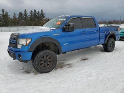 Salvage SUVs for sale at auction: 2011 Ford F150 Supercrew