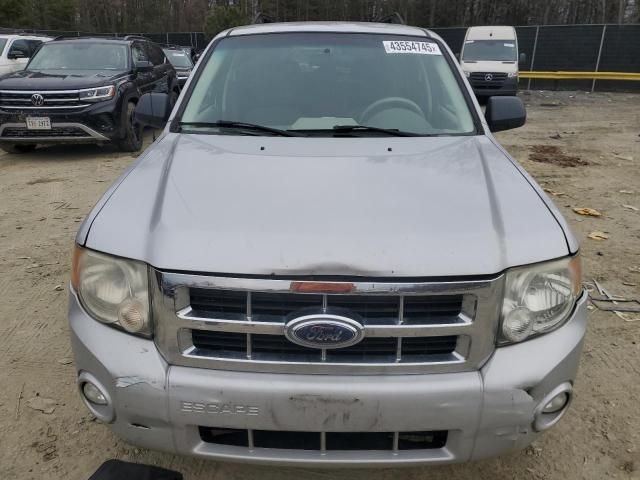 2008 Ford Escape XLT