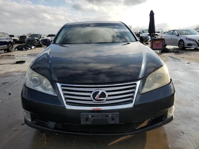 2010 Lexus ES 350