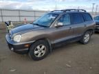 2006 Hyundai Santa FE GLS