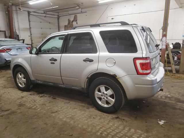 2010 Ford Escape XLT