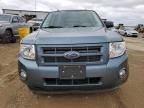 2011 Ford Escape Hybrid