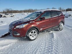 Ford Escape se Vehiculos salvage en venta: 2014 Ford Escape SE