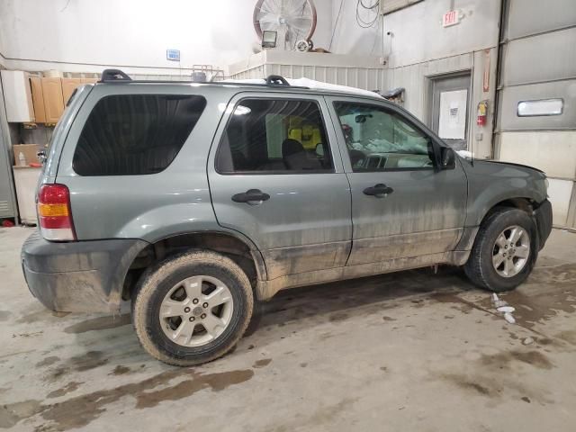 2006 Ford Escape XLT