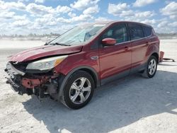 Salvage cars for sale at Arcadia, FL auction: 2016 Ford Escape SE