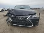 2024 Lexus ES 350 Base