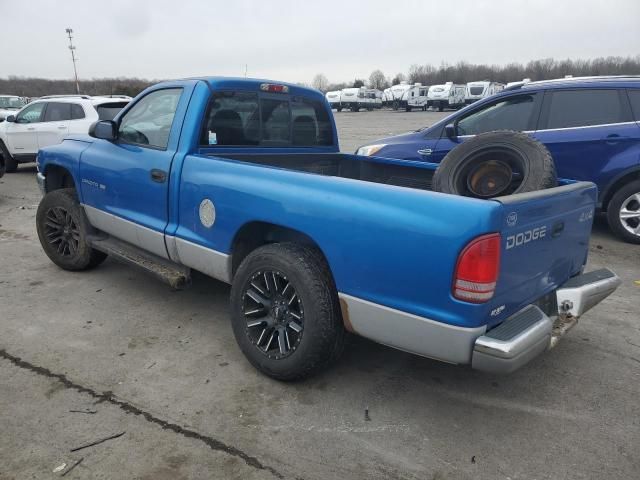 2000 Dodge Dakota