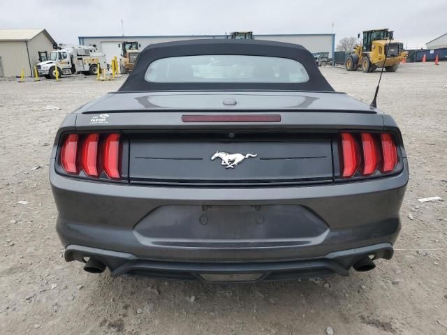 2019 Ford Mustang