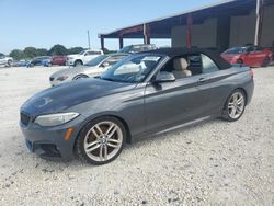 Salvage cars for sale at Homestead, FL auction: 2017 BMW 230I