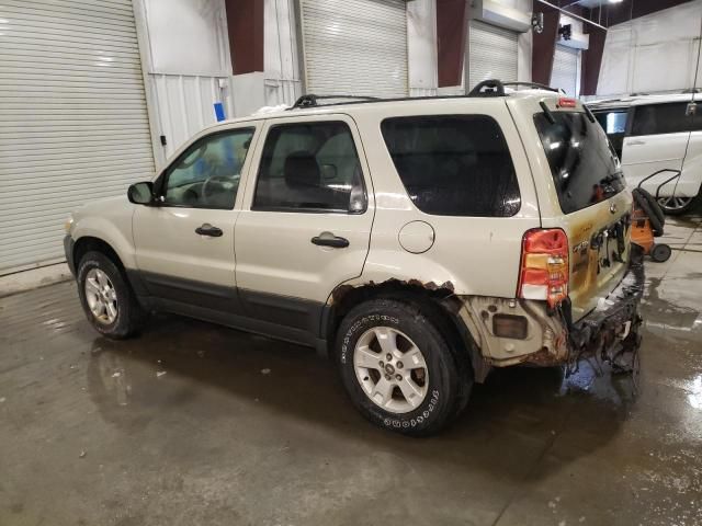 2005 Ford Escape XLT