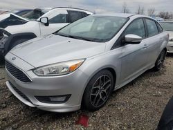 Salvage cars for sale at Elgin, IL auction: 2015 Ford Focus SE