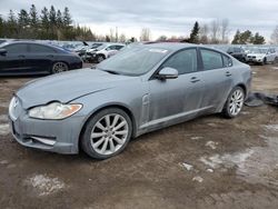 Salvage cars for sale at Bowmanville, ON auction: 2010 Jaguar XF Luxury