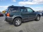 2004 Ford Escape XLT