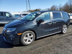 Salvage cars for sale at Windsor, NJ auction: 2020 Honda Odyssey EXL