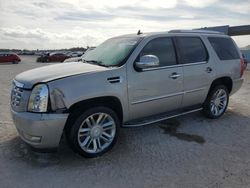 Cadillac salvage cars for sale: 2008 Cadillac Escalade Luxury