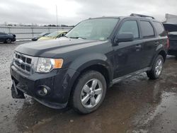 Salvage cars for sale at auction: 2011 Ford Escape XLT