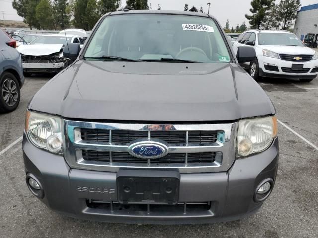 2012 Ford Escape XLT