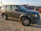 2010 Mazda Tribute I