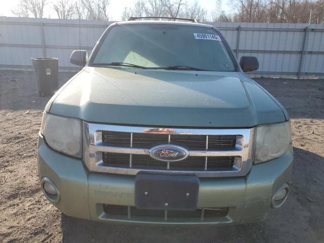 2008 Ford Escape XLT