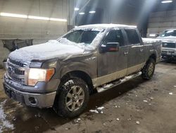 2013 Ford F150 Supercrew en venta en Angola, NY