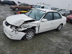 Vehiculos salvage en venta de Copart Antelope, CA: 2002 Toyota Corolla CE