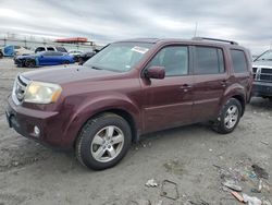 Honda Vehiculos salvage en venta: 2011 Honda Pilot EXL