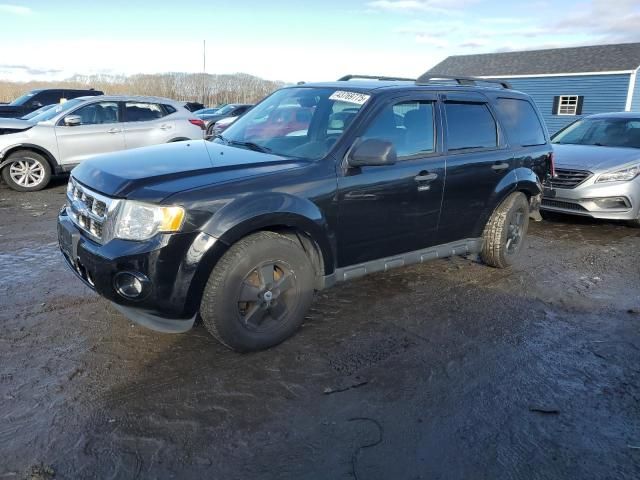 2011 Ford Escape XLT