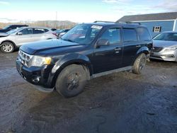 Salvage cars for sale at Assonet, MA auction: 2011 Ford Escape XLT