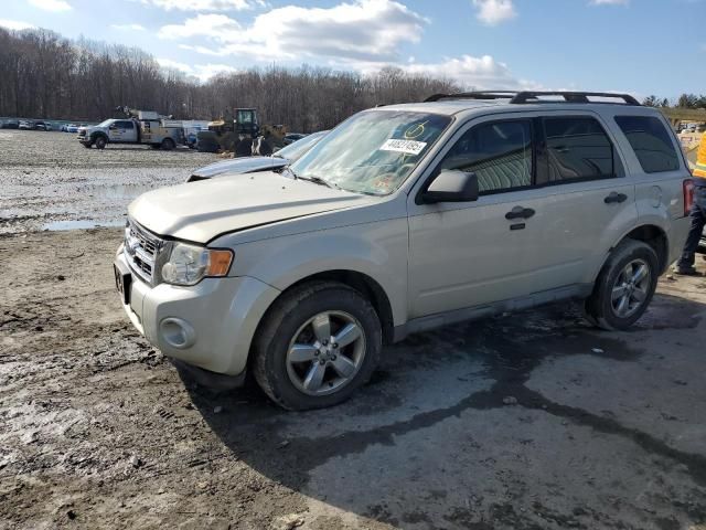 2009 Ford Escape XLT