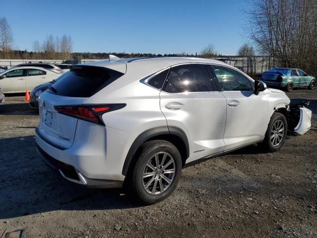 2019 Lexus NX 300H