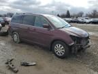 2008 Honda Odyssey EXL