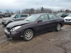 2004 Lexus ES 330